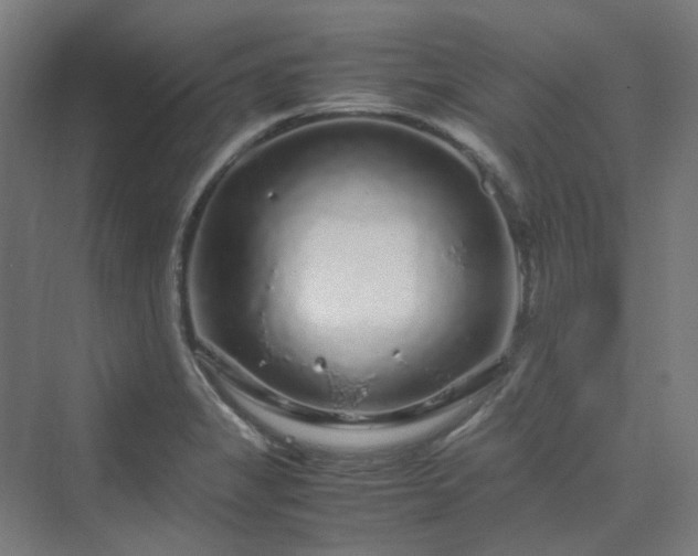 X0000070231325200606021337