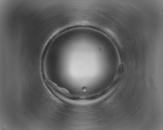 X0000070231326200606021337