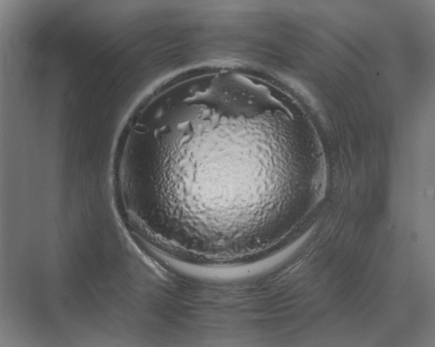 X0000070231327200606021337