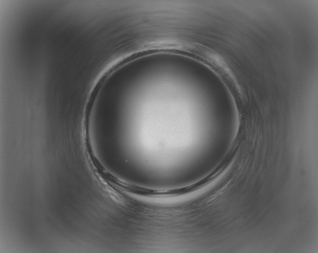 X0000070231328200606021337