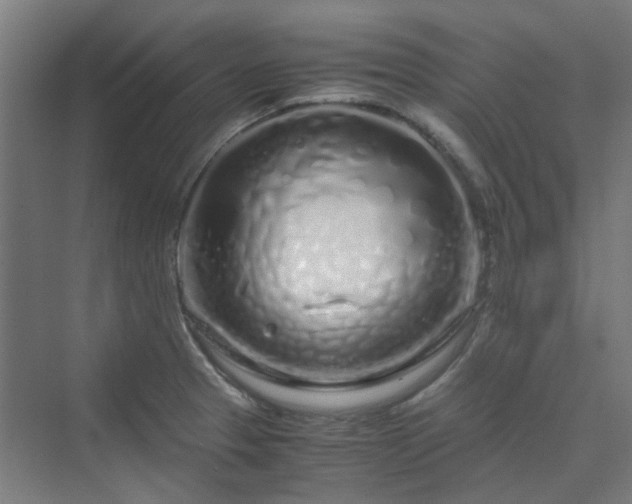 X0000070231329200606021337