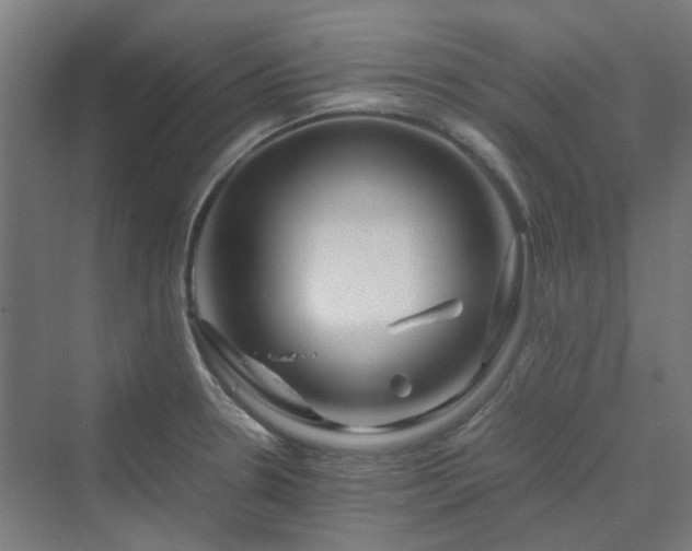 X0000070231330200606021337