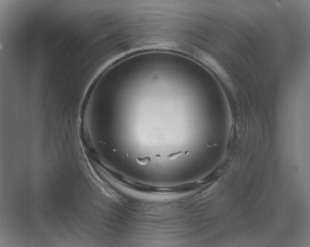 X0000070231332200606021337