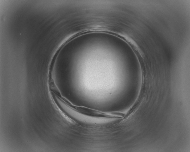 X0000070231333200606021337