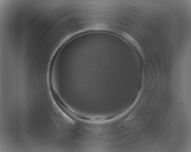 X0000070231334200606021337