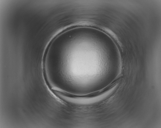 X0000070231335200606021337