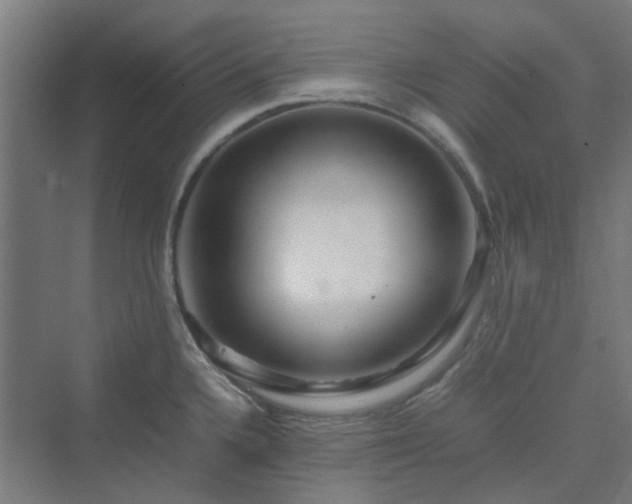 X0000070231336200606021337