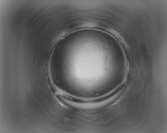 X0000070231337200606021337