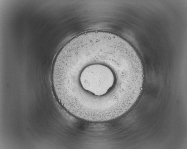 X0000070231338200606021337