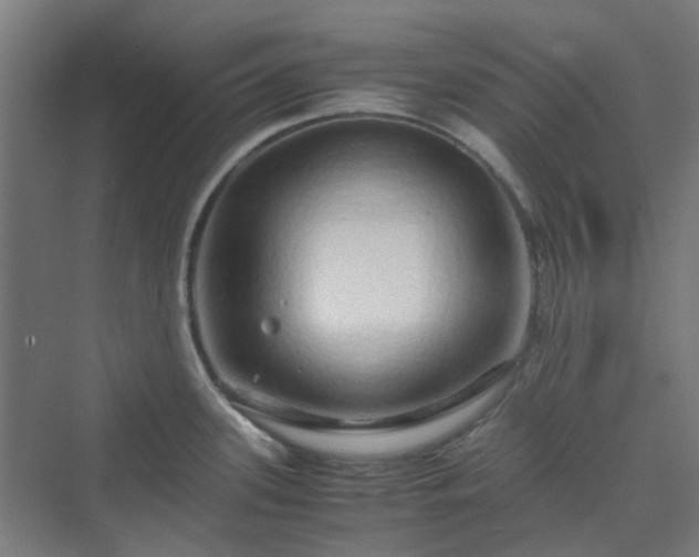 X0000070231339200606021337