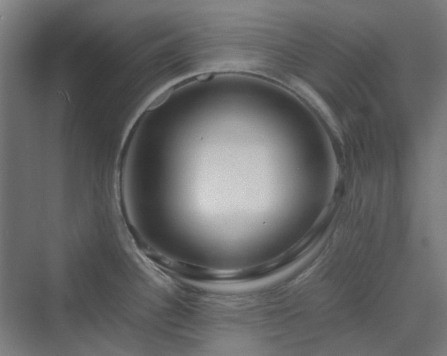 X0000070231340200606021337