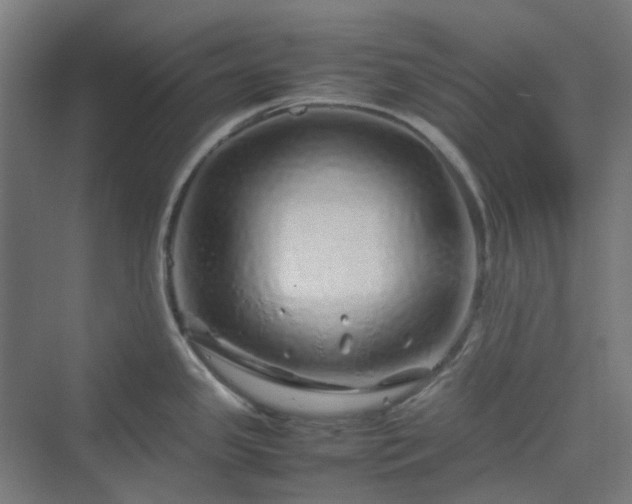 X0000070231341200606021337