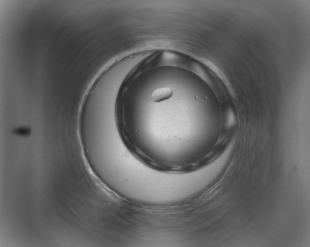 X0000070231342200606021337