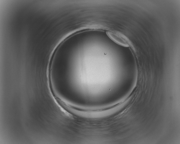 X0000070231343200606021337