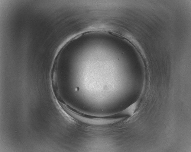 X0000070231344200606021337