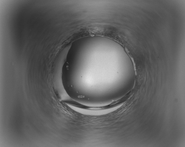 X0000070231345200606021336