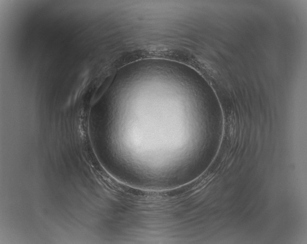 X0000070231346200606021336