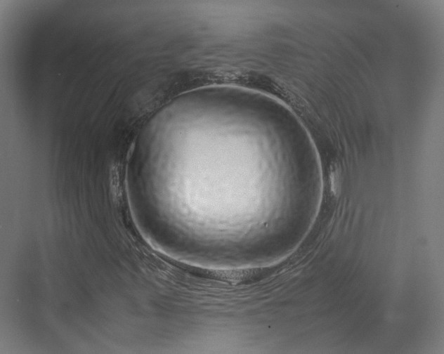 X0000070231347200606021336