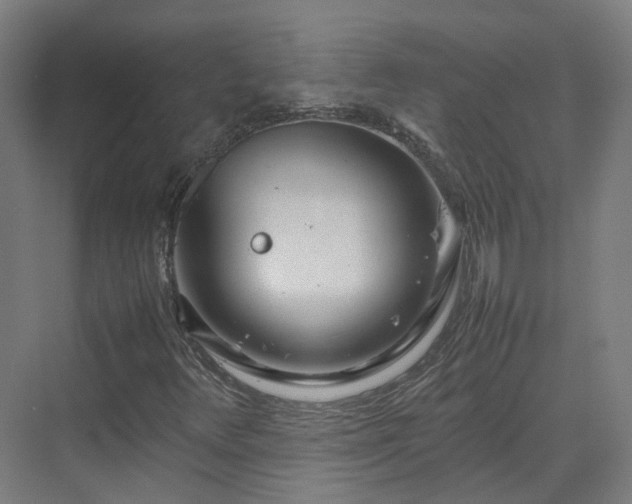 X0000070231348200606021336