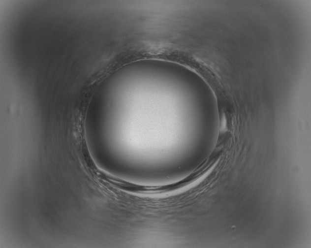 X0000070231349200606021336