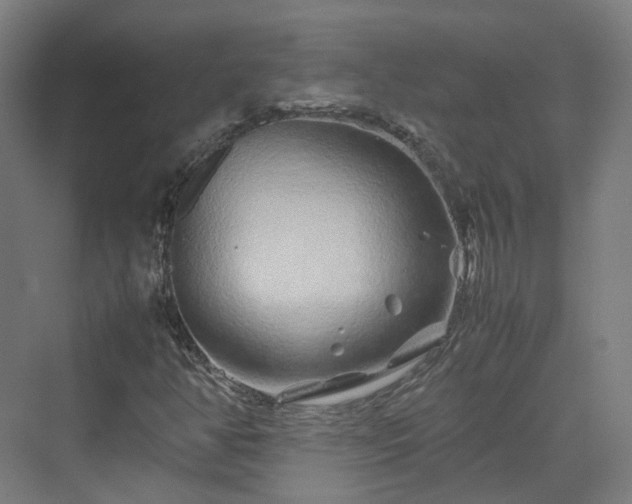 X0000070231350200606021336