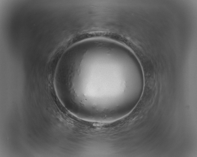 X0000070231351200606021336