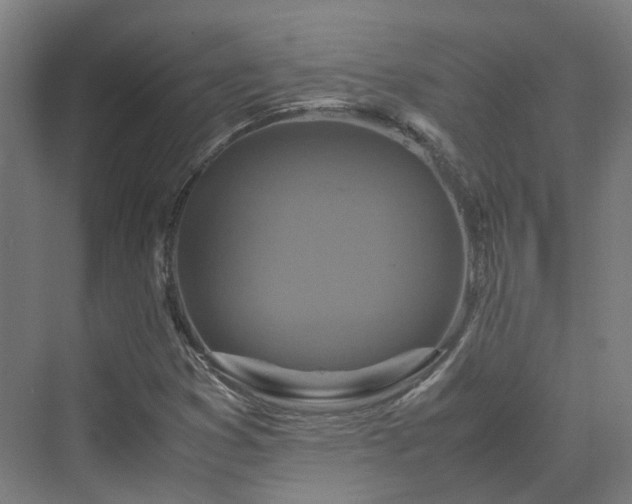 X0000070231353200606021336