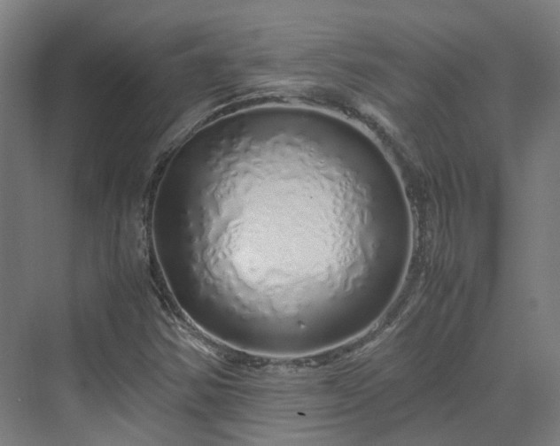 X0000070231354200606021336