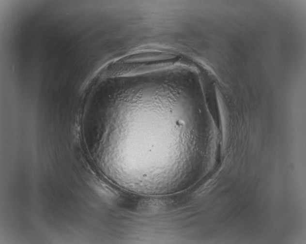 X0000070231355200606021336