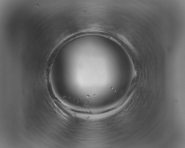 X0000070231356200606021336