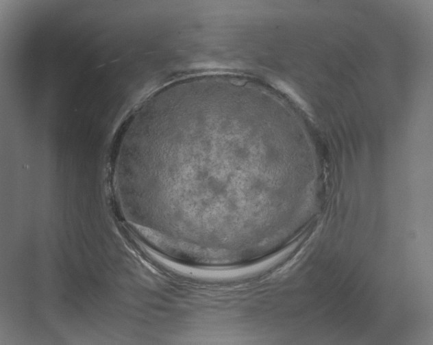 X0000070231357200606021336