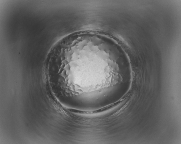 X0000070231358200606021336