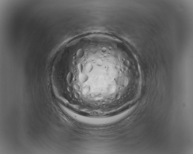 X0000070231359200606021336