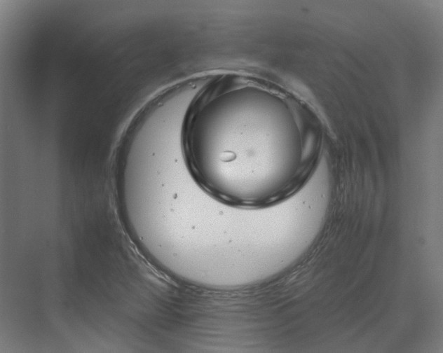 X0000070231360200606021336