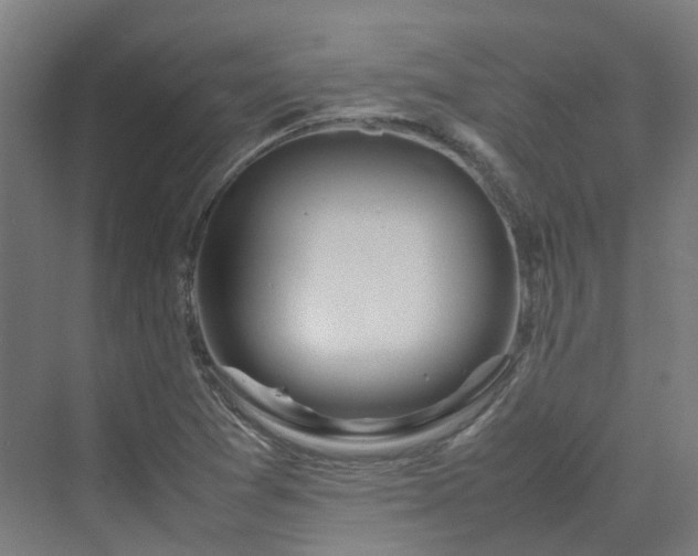 X0000070231361200606021336