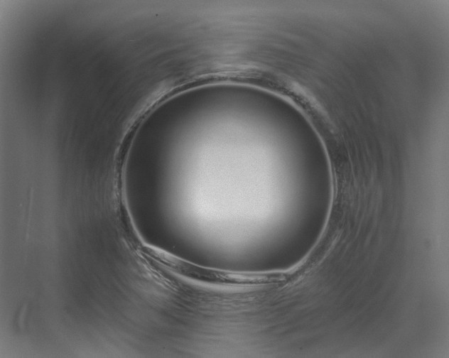 X0000070231362200606021336