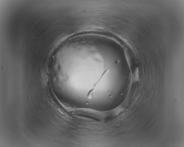 X0000070231363200606021336