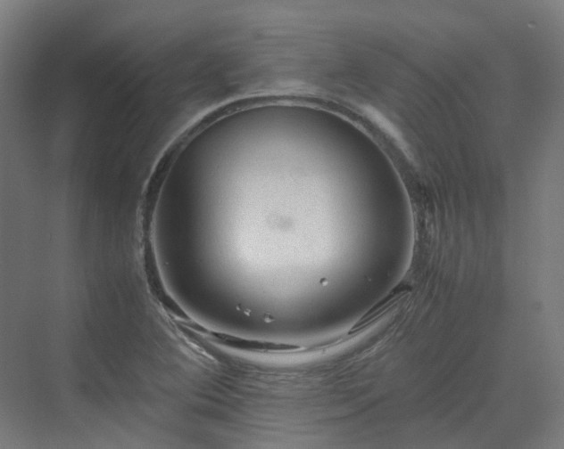 X0000070231364200606021336