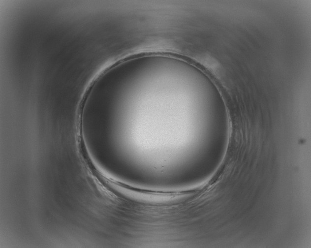 X0000070231366200606021336