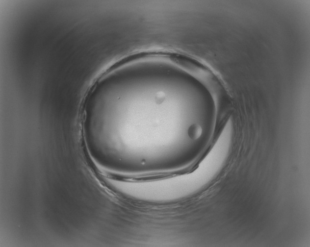 X0000070231367200606021336