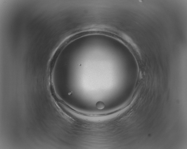 X0000070231368200606021336