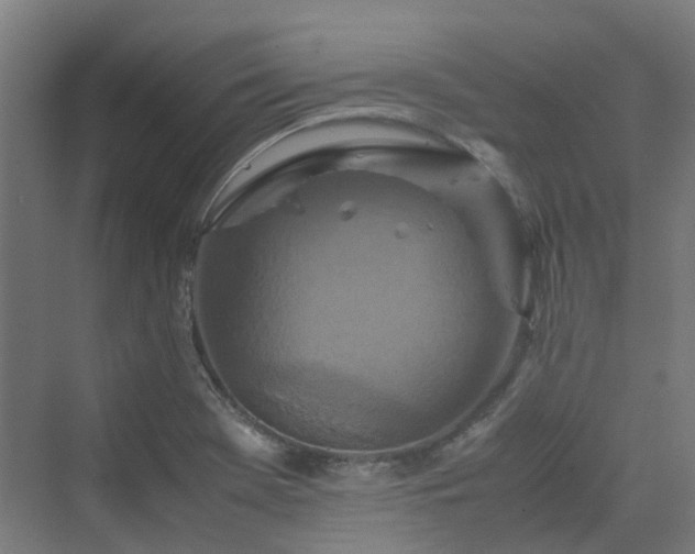 X0000070231369200606021336