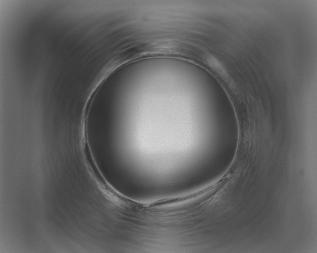 X0000070231370200606021336