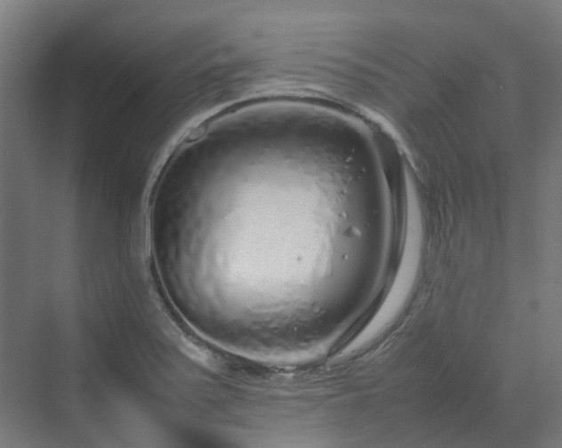 X0000070231371200606021336