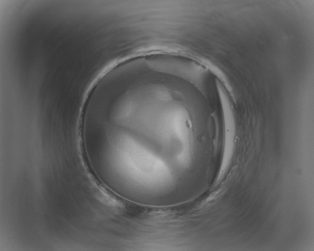 X0000070231373200606021336