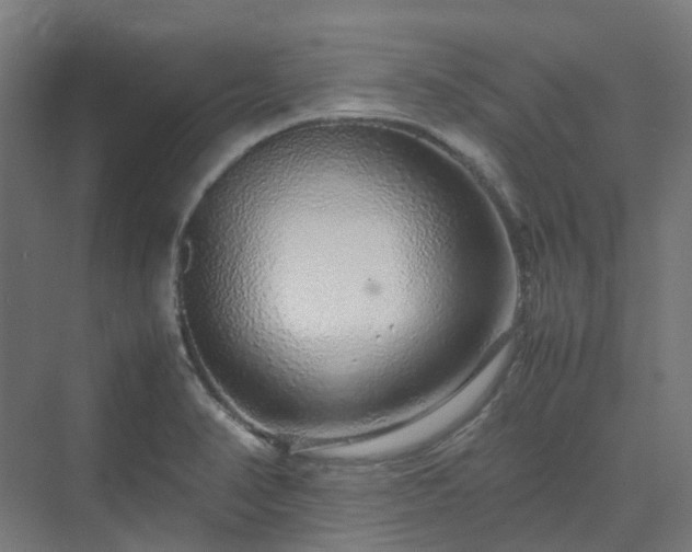 X0000070231374200606021336