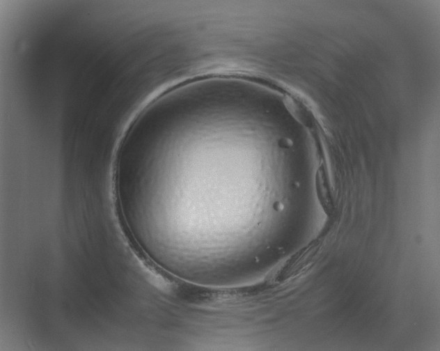 X0000070231375200606021336