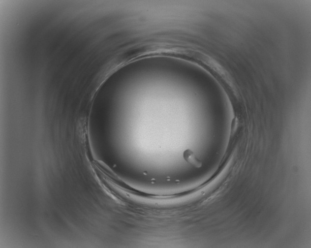 X0000070231377200606021336