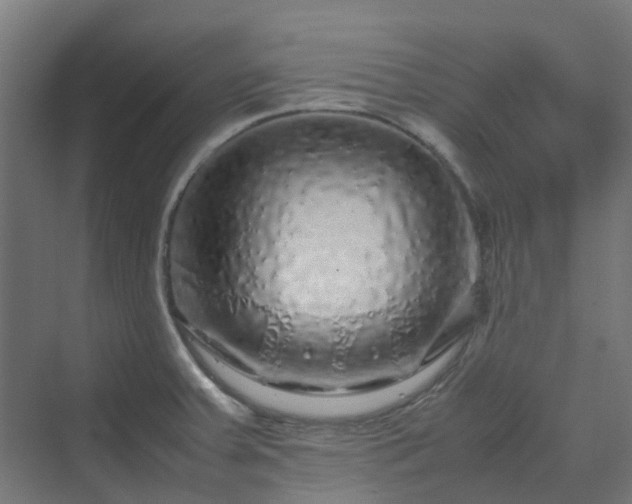 X0000070231379200606021336