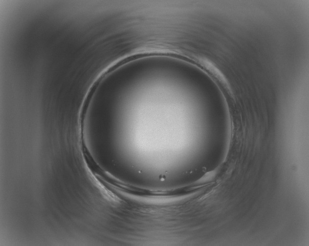 X0000070231380200606021336